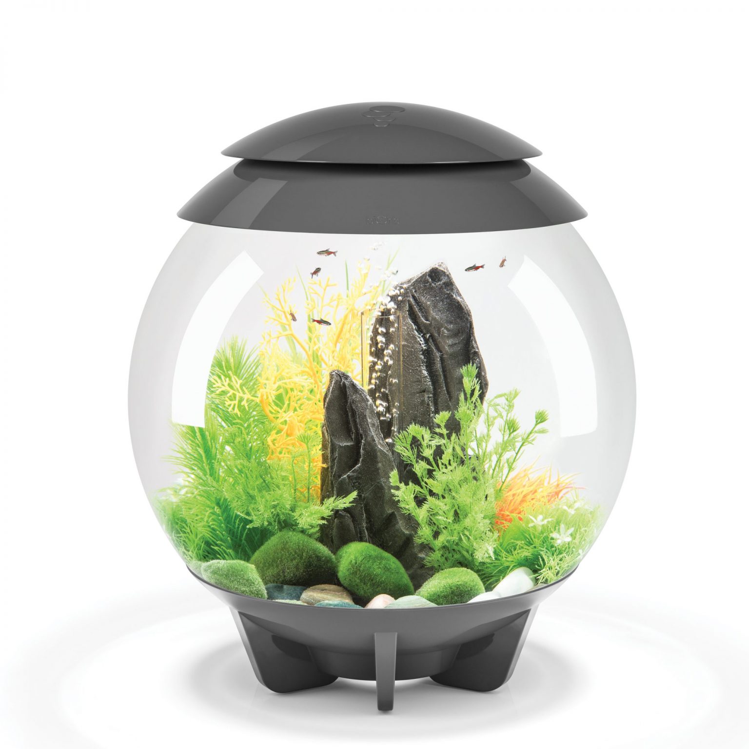 Biorb Halo Aquarium With Mcr Light Gallon Grey