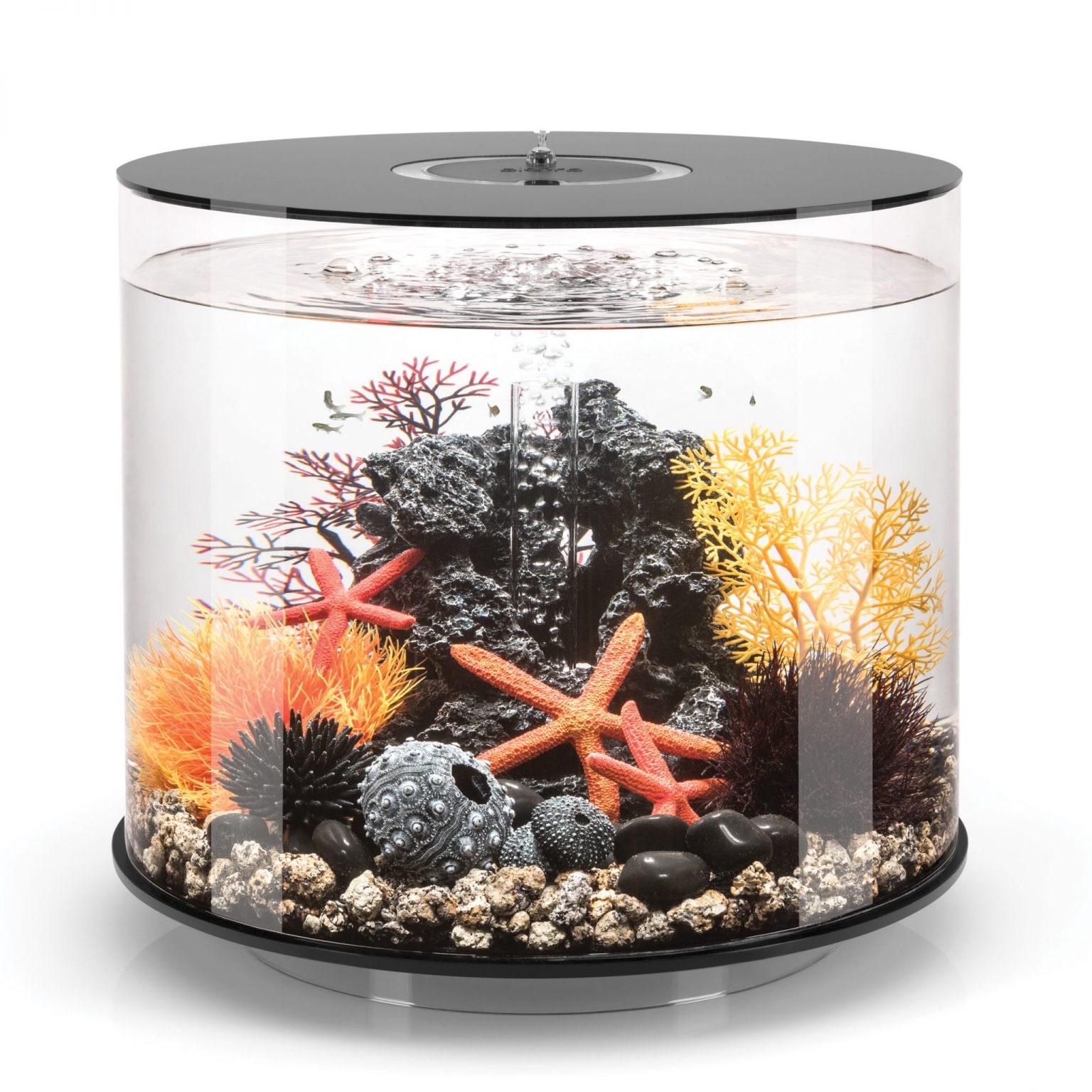 biOrb TUBE 35 Aquarium with MCR Light - 9.2 gallon - black - 72072 ...