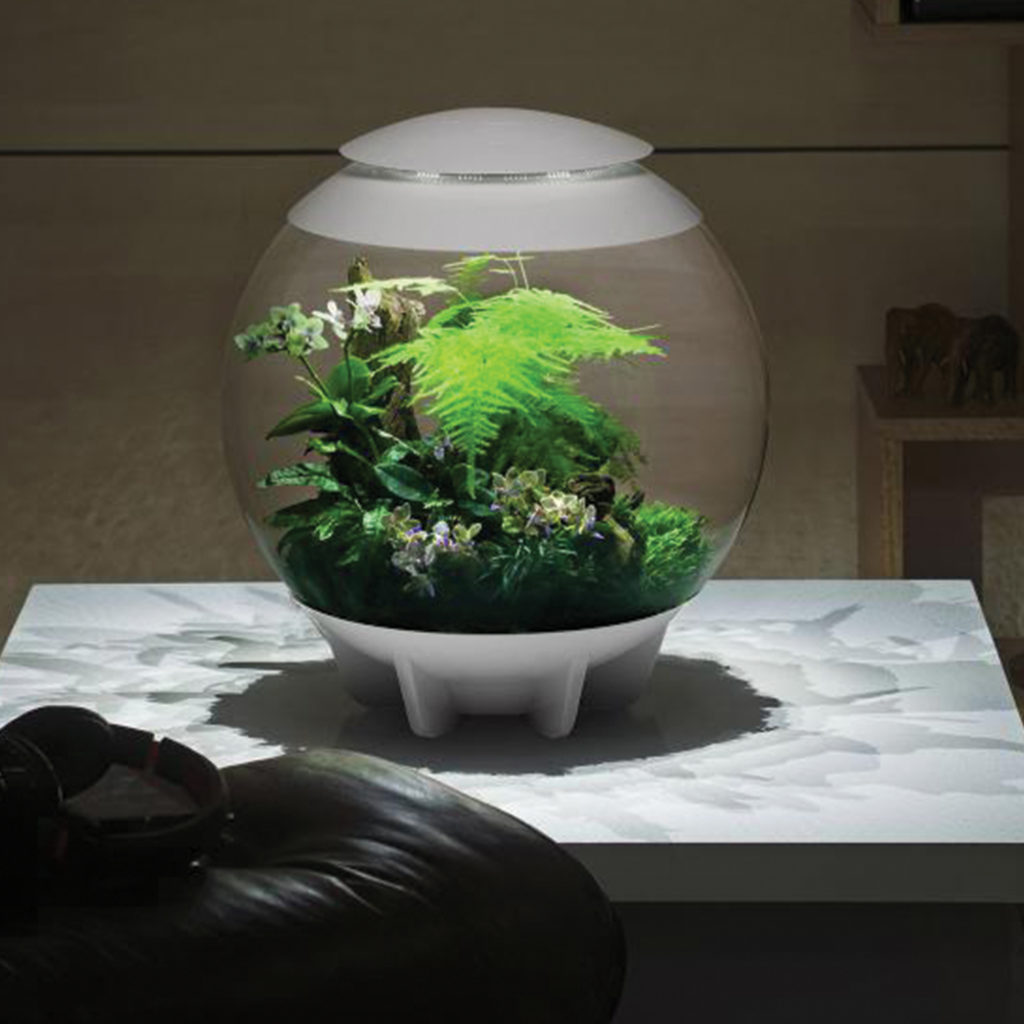 biOrb biOrbAIR 60 LED Terrarium - 16 gallon - white - 46147 - AZPonds ...