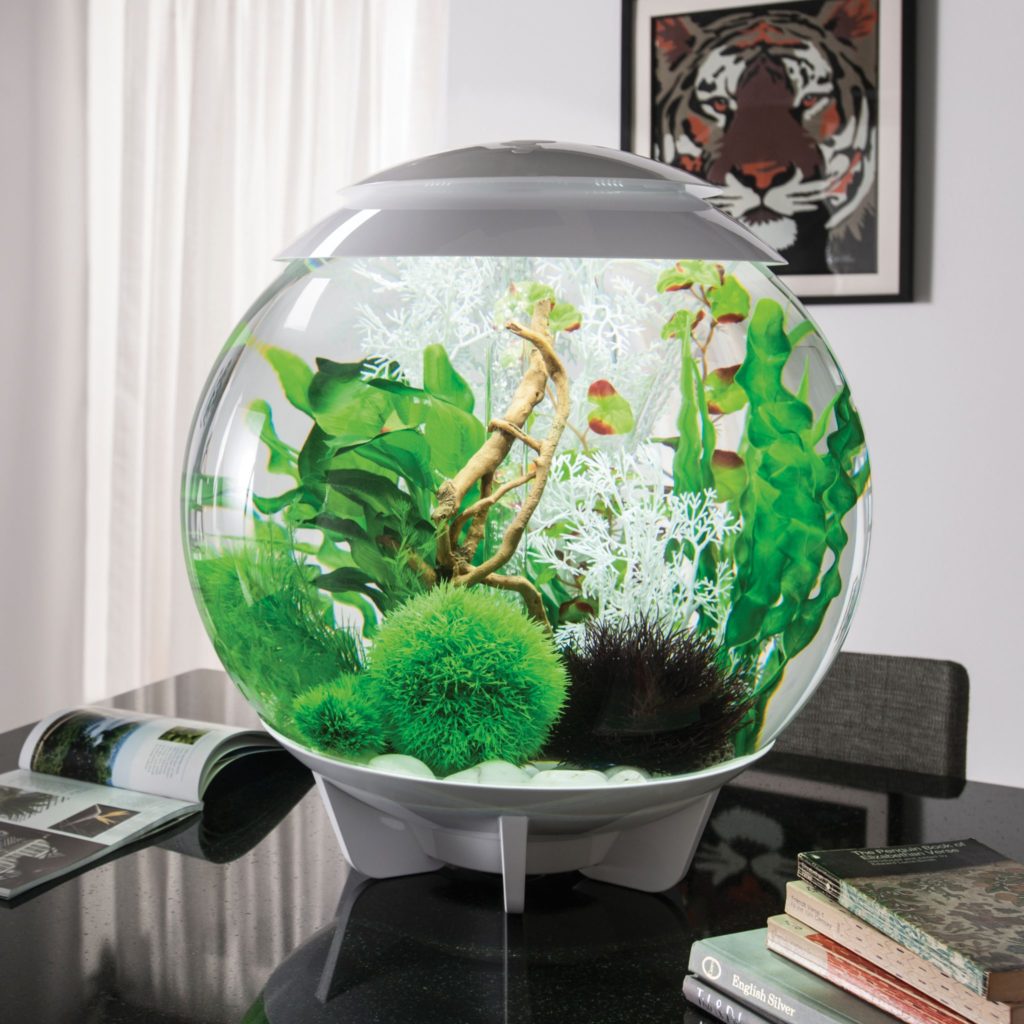 BiOrb HALO 60 Aquarium With MCR Light - 16 Gallon - White - 48487 ...